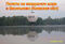 Полет на воздушном шаре Васильков
